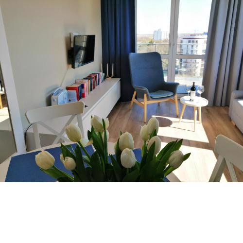 Cicha Przystań Apartamenty Platany