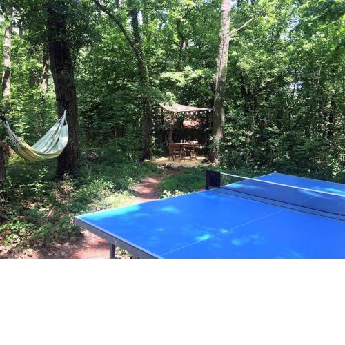 Cinke cottage, nest in nature