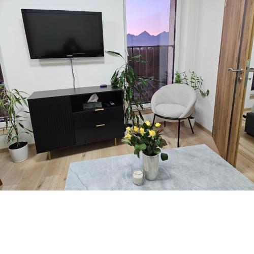 City apartment with moutain view - free parking