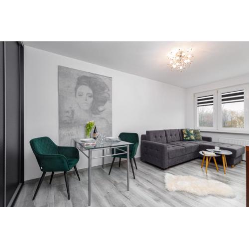 City Centre Pet-friendly Apartment Koszalińska by Noclegi Renters