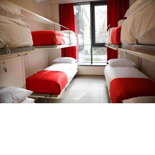 City Express Hostel