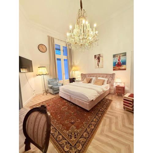 Classical Apartment Schönnbrunn