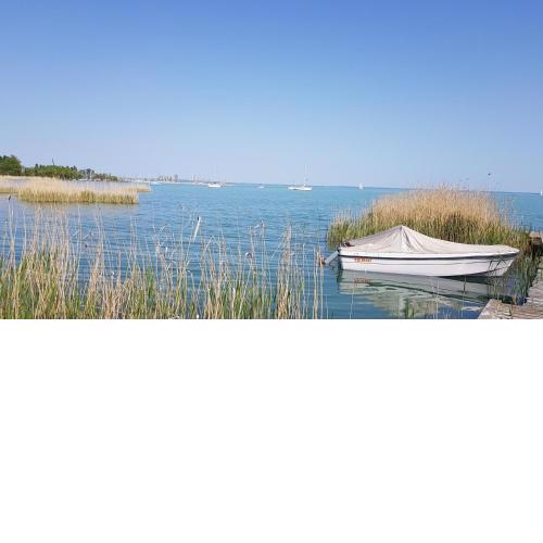 Coastline Balaton Apartment