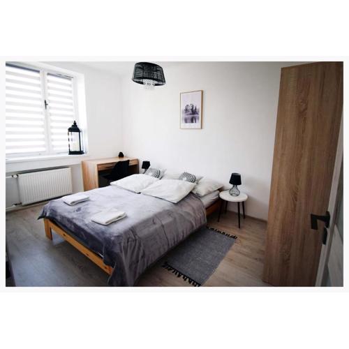 Color 24 Apartament II