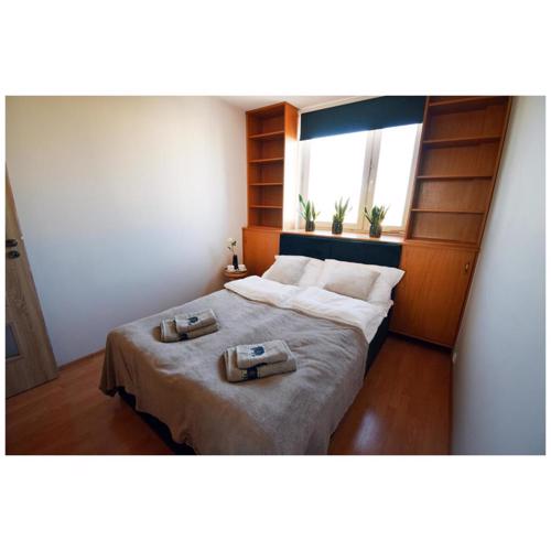 Color Apartment Panorama