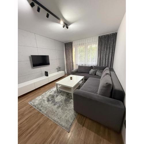 Comfort Apartment Onyksowa