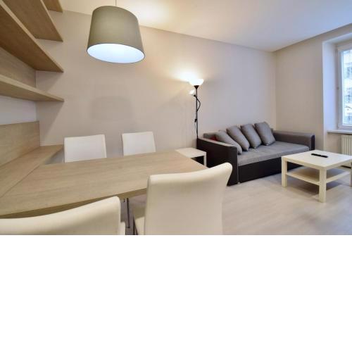 Comfortable apartment in Brno