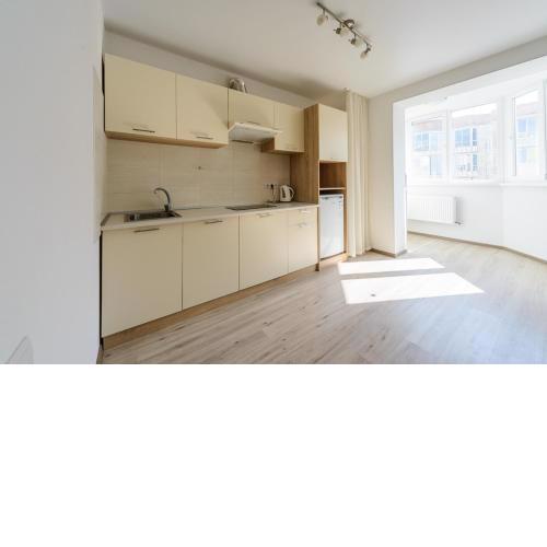 Comfortable apartment near airport Zhulyny