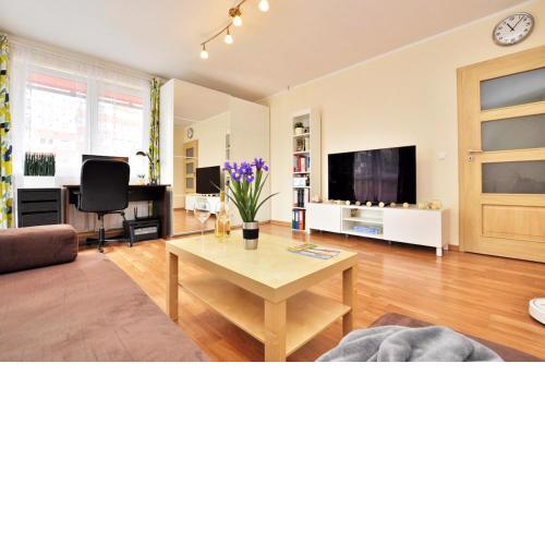 Comfortable apartment near center