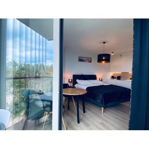 Comfortable apartment near the sea, Pobierowo