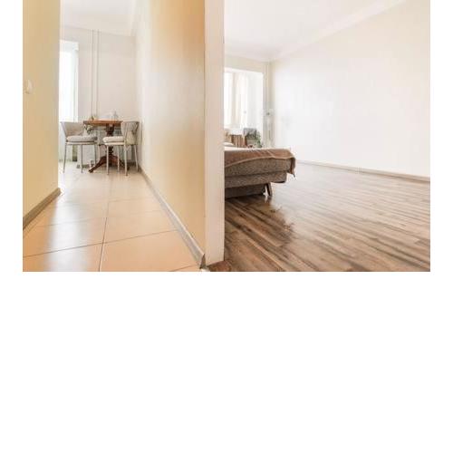 Comfortable Apartment on the River Bank