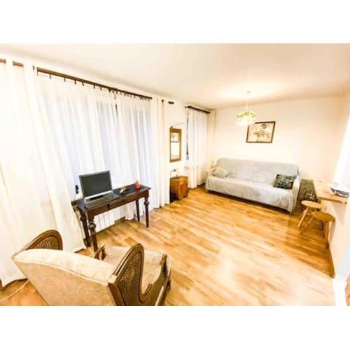 Comfortable Apartment