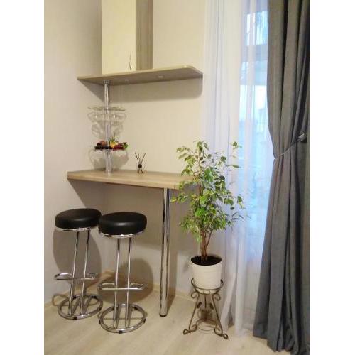 Comfortable modern apartment