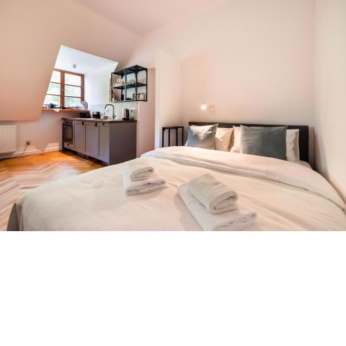 Comfortable Old Town Apartment