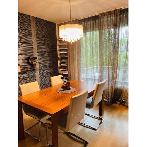 Comfortable suitable apartment