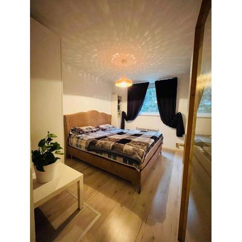 Comfortable, suitable apartment
