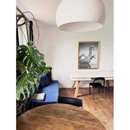 Comfy open-space apartment in Warsaw Zoliborz