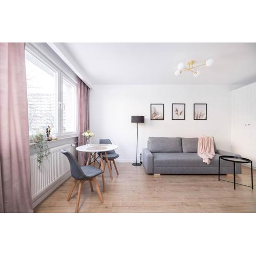 Comfy studio - 10\