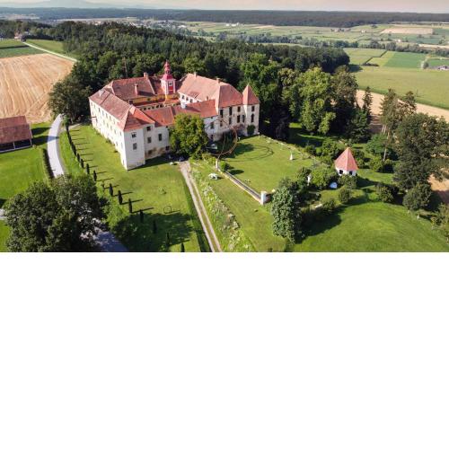 Cool Flat at Renaissance Castle