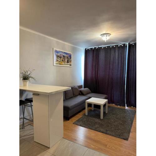 Coser Apartamenty Centrum 1