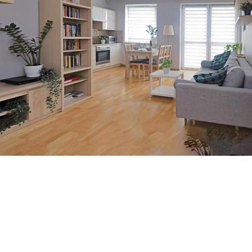 Cosy and Comfortable Apartment in Cracov