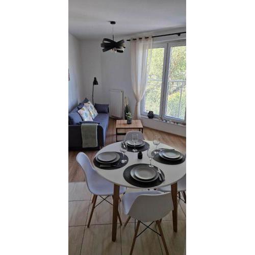 Cosy Apartment w pobliżu Tauron Arena