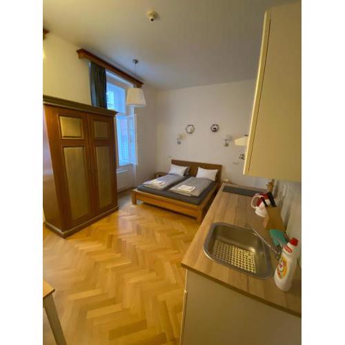 Cosy central apartment in Žižkov