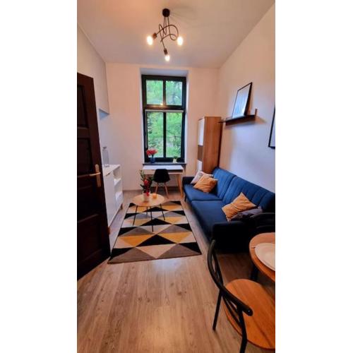 Cosy mini apartment- city centre