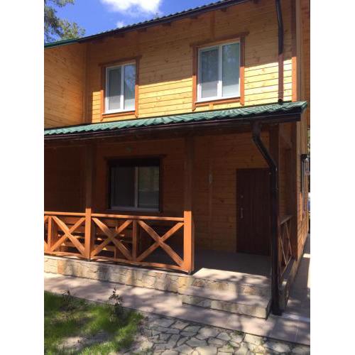 Cottage in Sosnovom Boru