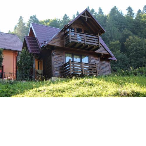 Cottage "Karpatske Shale"