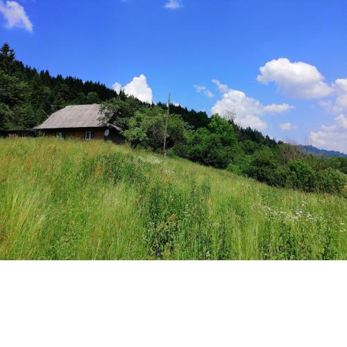 Cottage Svitanok