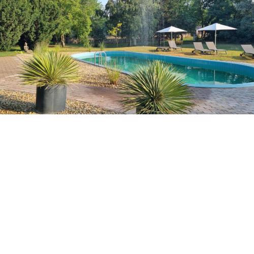 Cottage1 in Nature Resort Swimming Pond Pool Sauna