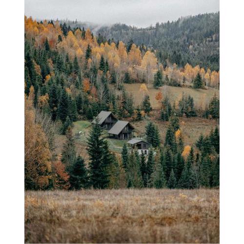 Cottages Shepit Lisu