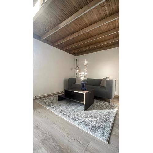 Cotton&Loft - Brno City Center Apartment