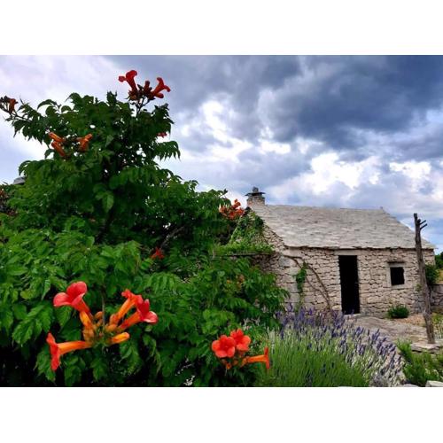 Country House Hacienda