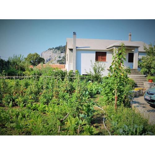 Countryside getaway close to the river and the sea