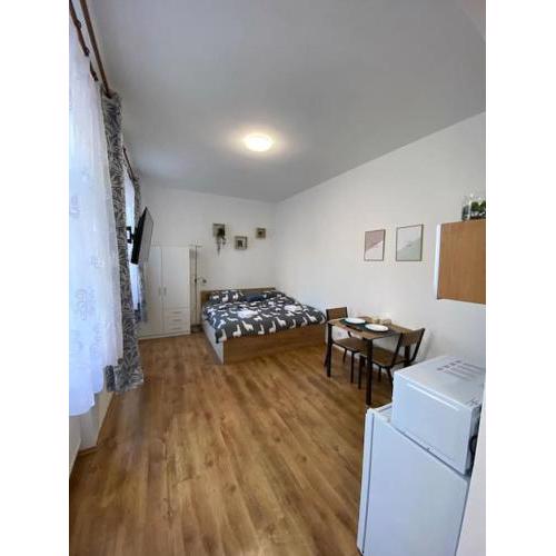 Cozy 1 BR studio in the center of Pilsen