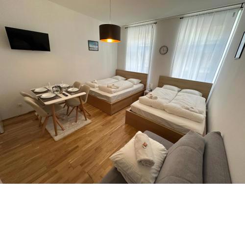 Cozy 5-Person Apartment in Vienna 6