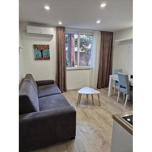 Cozy apartment close to city centre