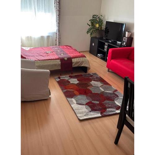 Cozy Apartment in District 8