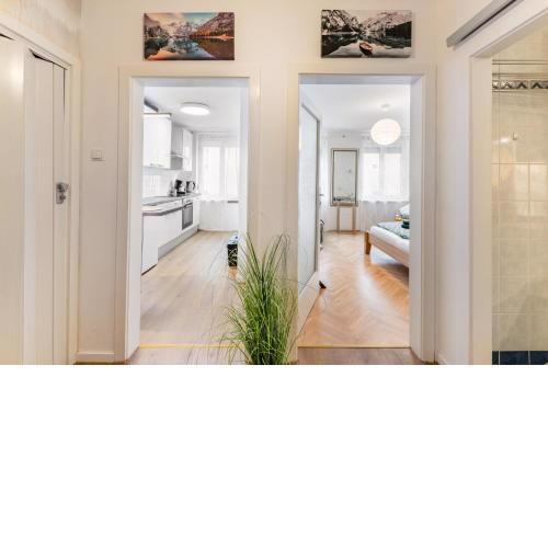 Cozy apartment in Graz-3Guests-free Parking