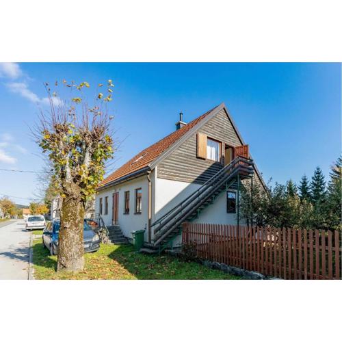 Cozy Apartment In Ravna Gora With Wifi