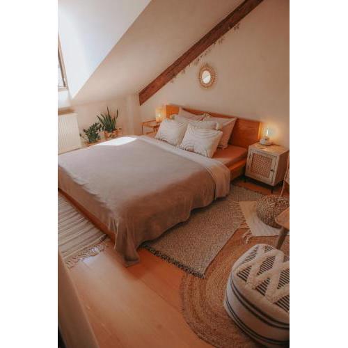 Cozy apartment in the heart of the historic city
