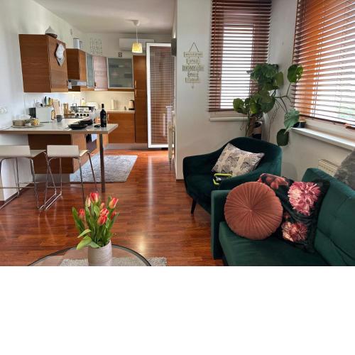 Cozy Apartment with nice balcony seating, 9th floor, parking