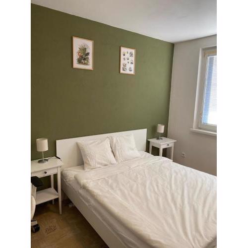 Cozy, bright room with free parking