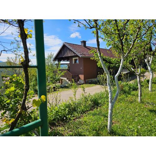 Cozy Bungalow Stipe