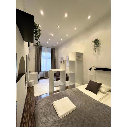 Cozy Downtown Apartment