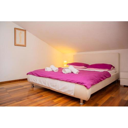 Cozy Guest House Kamenita