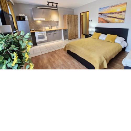 Cozy modern Apartment SUNRISE studio 35m2 balcony 3 persons
