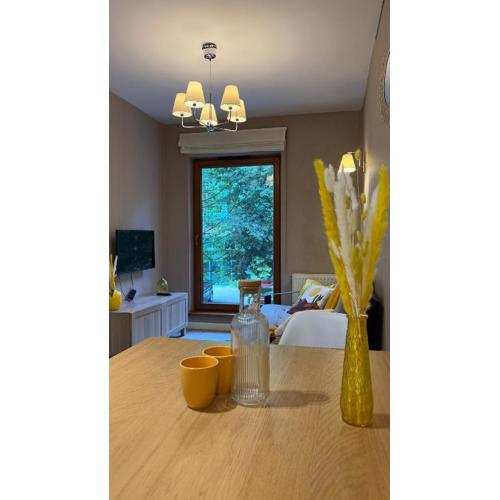 Cozy Mood Apartment Cracow